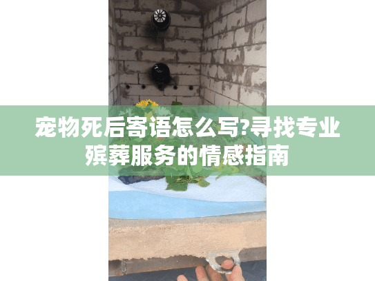 宠物死后寄语怎么写?寻找专业殡葬服务的情感指南