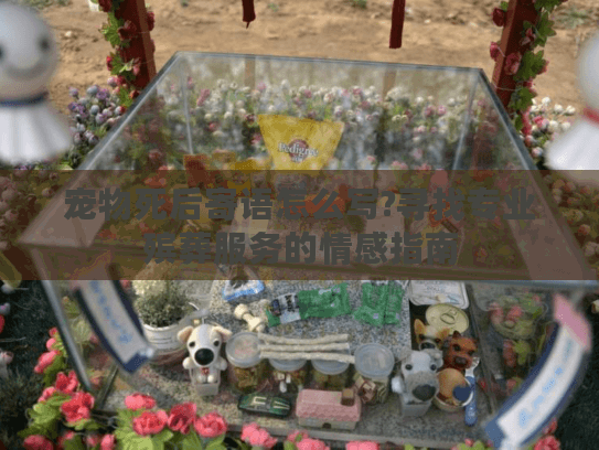 宠物死后寄语怎么写?寻找专业殡葬服务的情感指南