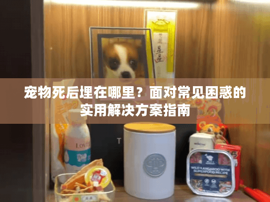 宠物死后埋在哪里？面对常见困惑的实用解决方案指南