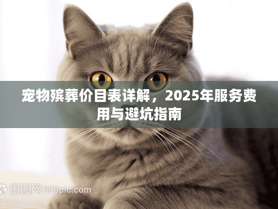 宠物殡葬价目表详解，2025年服务费用与避坑指南