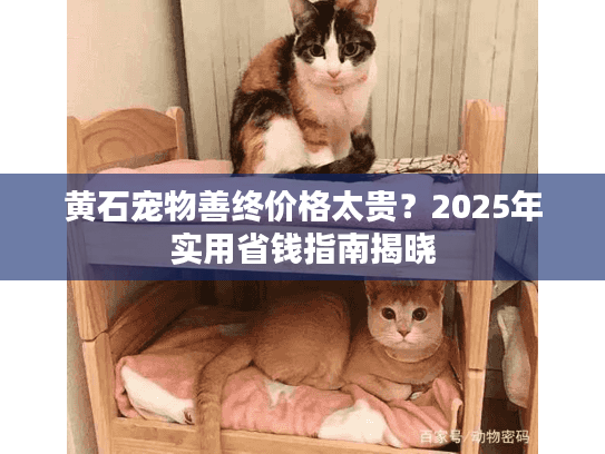 黄石宠物善终价格太贵？2025年实用省钱指南揭晓