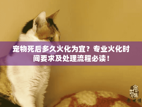 宠物死后多久火化为宜？专业火化时间要求及处理流程必读！