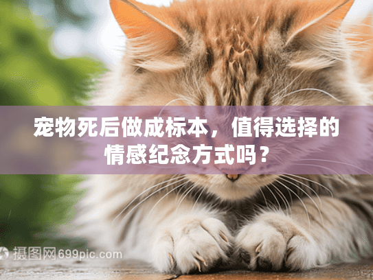 宠物死后做成标本，值得选择的情感纪念方式吗？