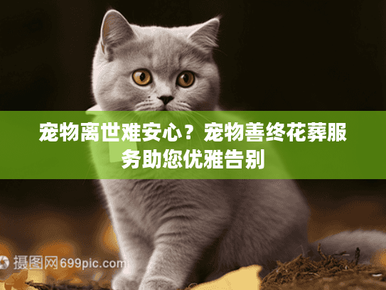 宠物离世难安心？宠物善终花葬服务助您优雅告别