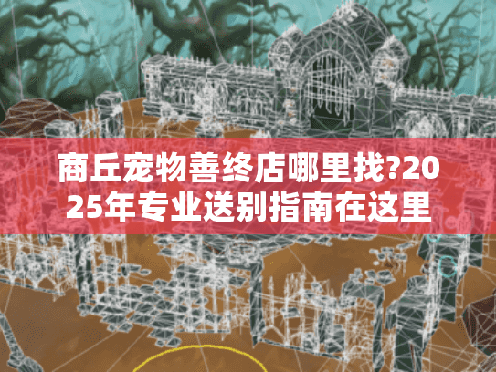 商丘宠物善终店哪里找?2025年专业送别指南在这里