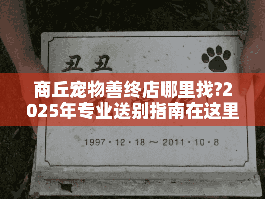 商丘宠物善终店哪里找?2025年专业送别指南在这里