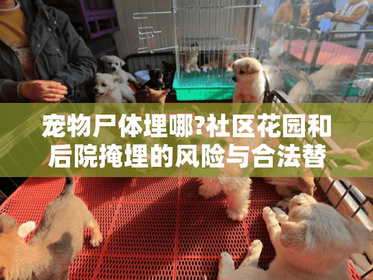 宠物尸体埋哪?社区花园和后院掩埋的风险与合法替代方案