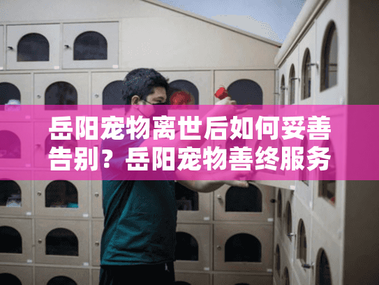 岳阳宠物离世后如何妥善告别？岳阳宠物善终服务全程守护指南