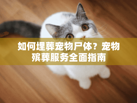 如何埋葬宠物尸体？宠物殡葬服务全面指南
