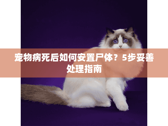 宠物病死后如何安置尸体？5步妥善处理指南