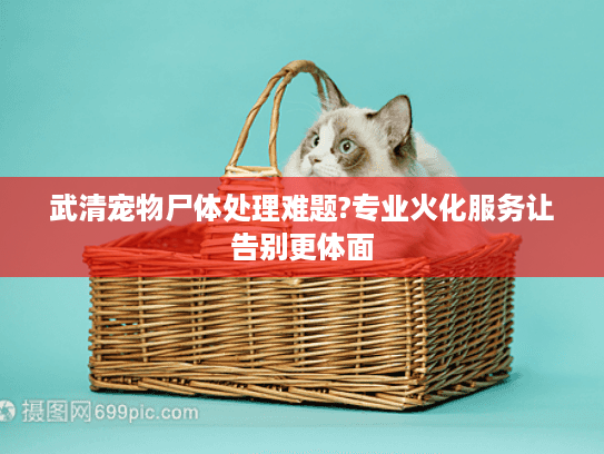 武清宠物尸体处理难题?专业火化服务让告别更体面