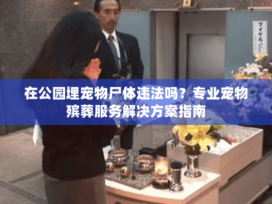 在公园埋宠物尸体违法吗？专业宠物殡葬服务解决方案指南