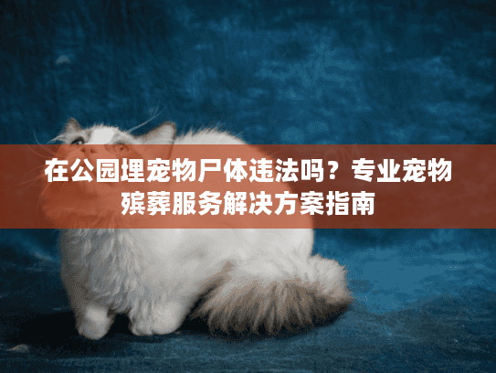 在公园埋宠物尸体违法吗？专业宠物殡葬服务解决方案指南