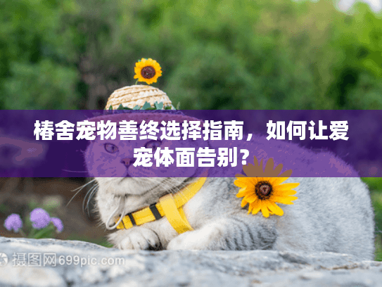 椿舍宠物善终选择指南，如何让爱宠体面告别？