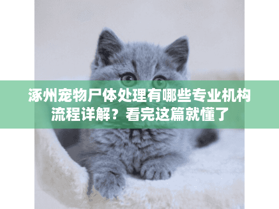 涿州宠物尸体处理有哪些专业机构流程详解?看完这篇就懂了 涿州宠物尸体处理有哪些专业机构流程详解?看完这篇就懂了
