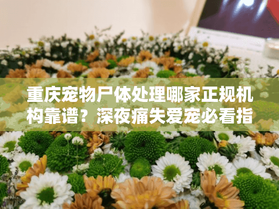 重庆宠物尸体处理哪家正规机构靠谱？深夜痛失爱宠必看指南