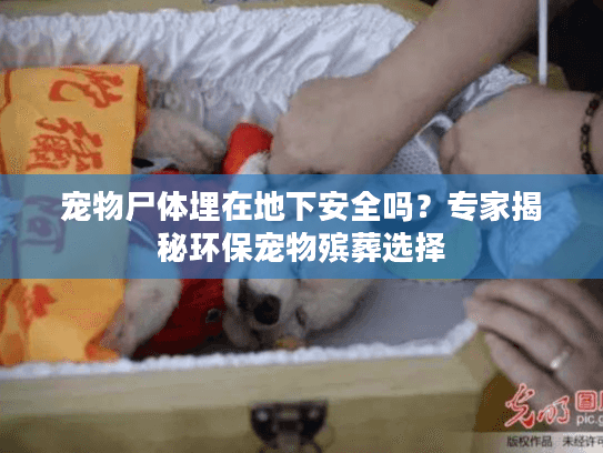 宠物尸体埋在地下安全吗？专家揭秘环保宠物殡葬选择