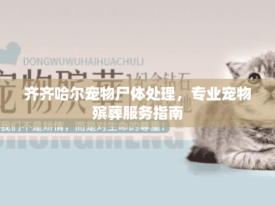 齐齐哈尔宠物尸体处理，专业宠物殡葬服务指南