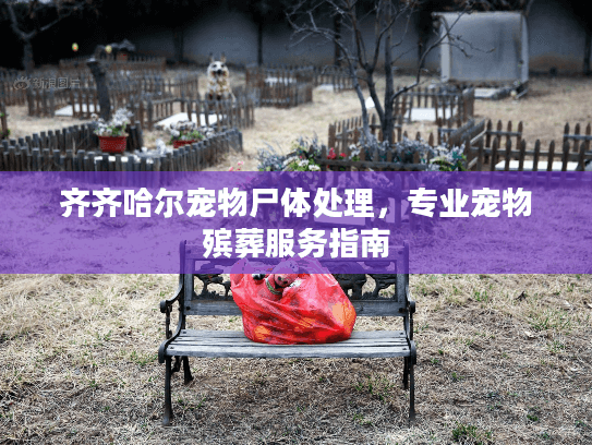 齐齐哈尔宠物尸体处理，专业宠物殡葬服务指南