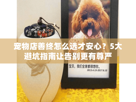 宠物店善终怎么选才安心？5大避坑指南让告别更有尊严