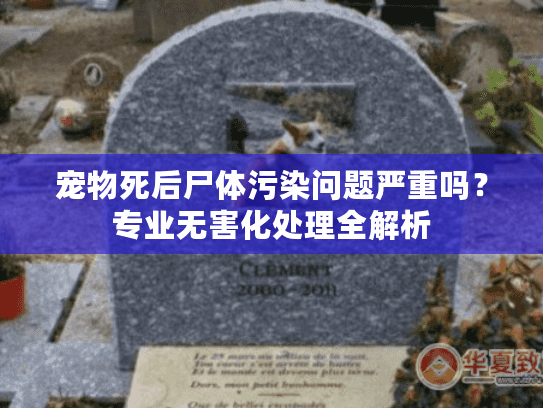 宠物死后尸体污染问题严重吗？专业无害化处理全解析