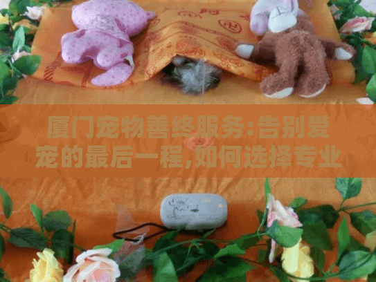 厦门宠物善终服务:告别爱宠的最后一程,如何选择专业机构?