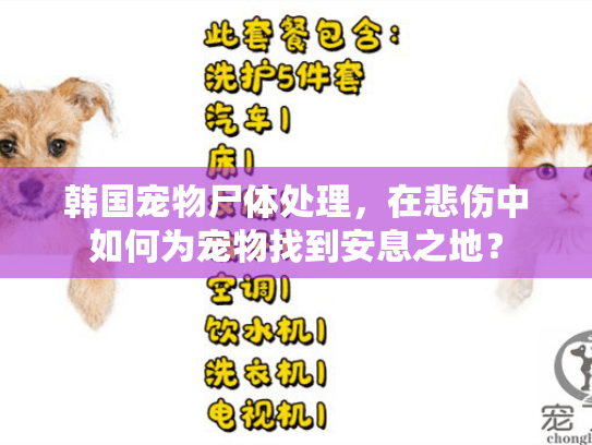 韩国宠物尸体处理，在悲伤中如何为宠物找到安息之地？