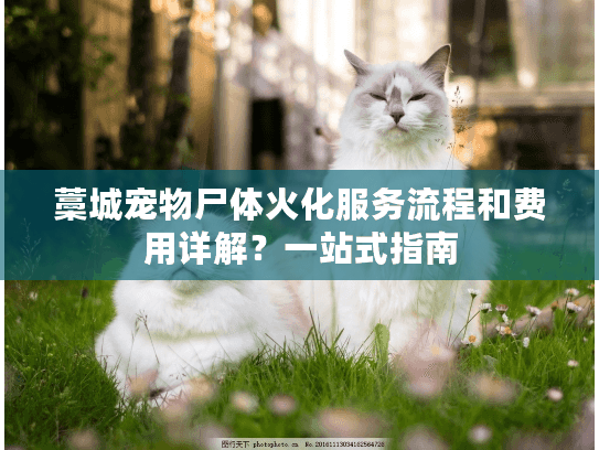 藁城宠物尸体火化服务流程和费用详解？一站式指南