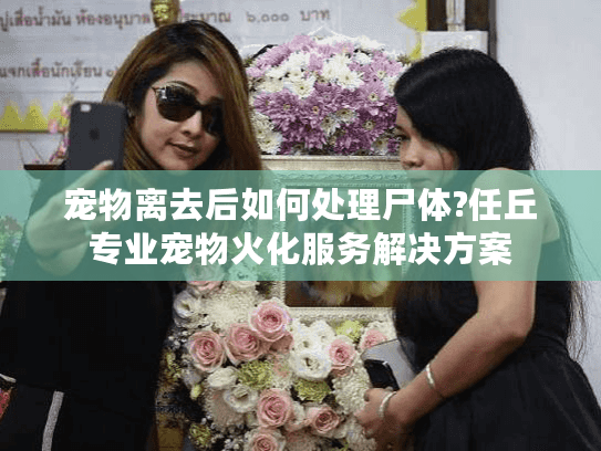 宠物离去后如何处理尸体?任丘专业宠物火化服务解决方案