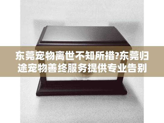 东莞宠物离世不知所措?东莞归途宠物善终服务提供专业告别方案