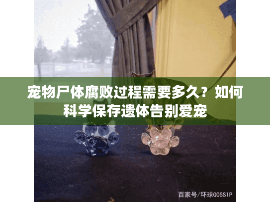 宠物尸体腐败过程需要多久?如何科学保存遗体告别爱宠 宠物尸体腐败过程需要多久?如何科学保存遗体告别爱宠