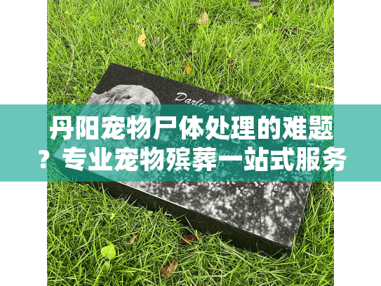 丹阳宠物尸体处理的难题？专业宠物殡葬一站式服务来化解