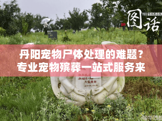 丹阳宠物尸体处理的难题？专业宠物殡葬一站式服务来化解