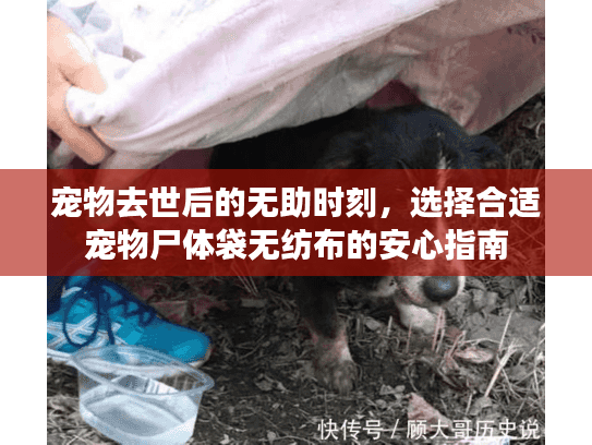 宠物去世后的无助时刻，选择合适宠物尸体袋无纺布的安心指南