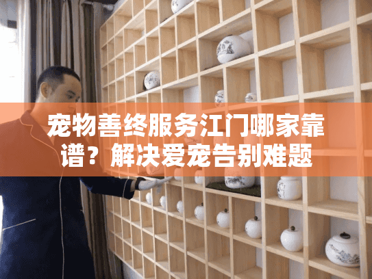 宠物善终服务江门哪家靠谱？解决爱宠告别难题
