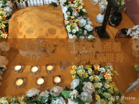 宠物尸体不能随意烧点着？2025合法宠物殡葬服务全解析