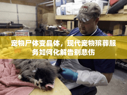 宠物尸体变晶体,现代宠物殡葬服务如何化解告别悲伤 宠物尸体变晶体,现代宠物殡葬服务如何化解告别悲伤