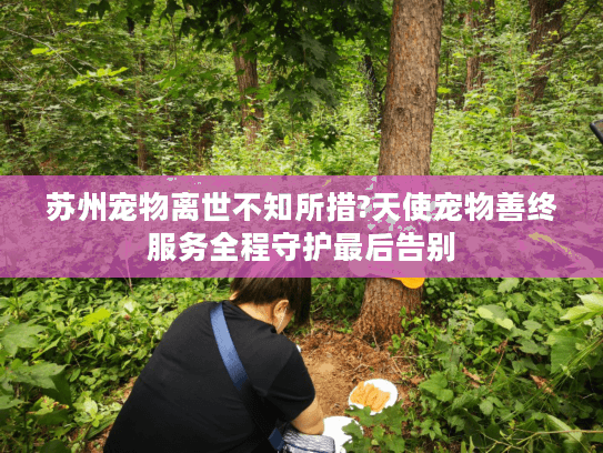 苏州宠物离世不知所措?天使宠物善终服务全程守护最后告别