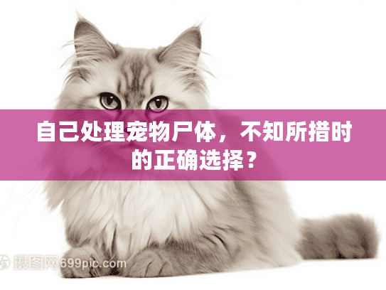 自己处理宠物尸体，不知所措时的正确选择？