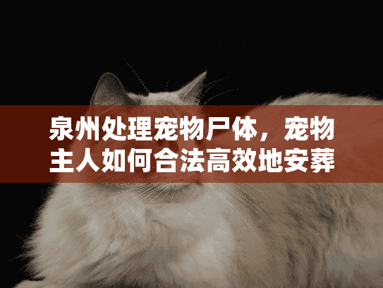 泉州处理宠物尸体，宠物主人如何合法高效地安葬爱宠？