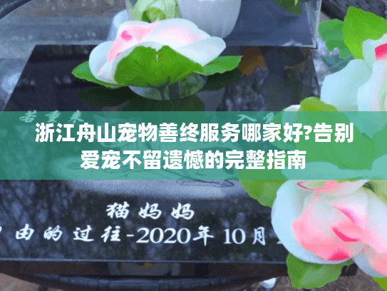 浙江舟山宠物善终服务哪家好?告别爱宠不留遗憾的完整指南
