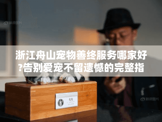 浙江舟山宠物善终服务哪家好?告别爱宠不留遗憾的完整指南
