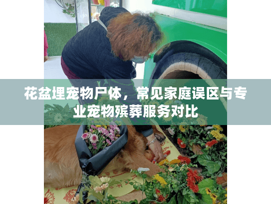 花盆埋宠物尸体，常见家庭误区与专业宠物殡葬服务对比