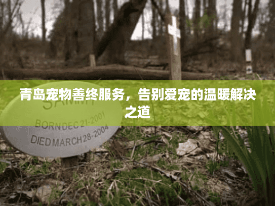 青岛宠物善终服务，告别爱宠的温暖解决之道