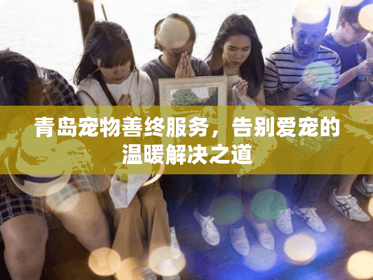 青岛宠物善终服务，告别爱宠的温暖解决之道