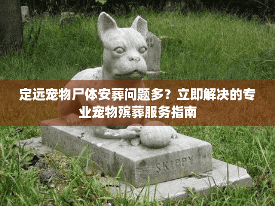 定远宠物尸体安葬问题多？立即解决的专业宠物殡葬服务指南