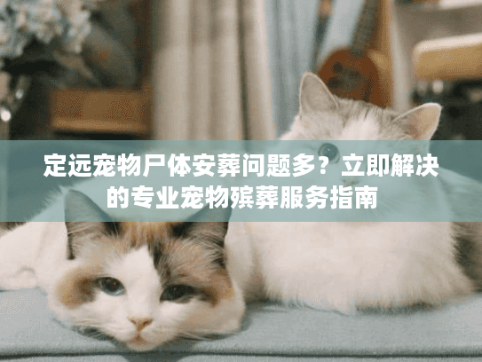 定远宠物尸体安葬问题多？立即解决的专业宠物殡葬服务指南