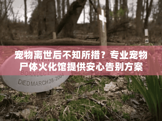 宠物离世后不知所措？专业宠物尸体火化馆提供安心告别方案
