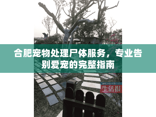 合肥宠物处理尸体服务，专业告别爱宠的完整指南