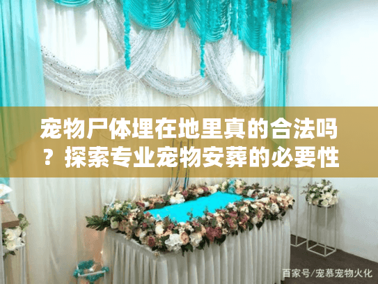 宠物尸体埋在地里真的合法吗？探索专业宠物安葬的必要性